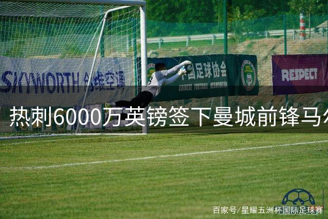 热刺6000万英镑签下曼城前锋马尔穆什