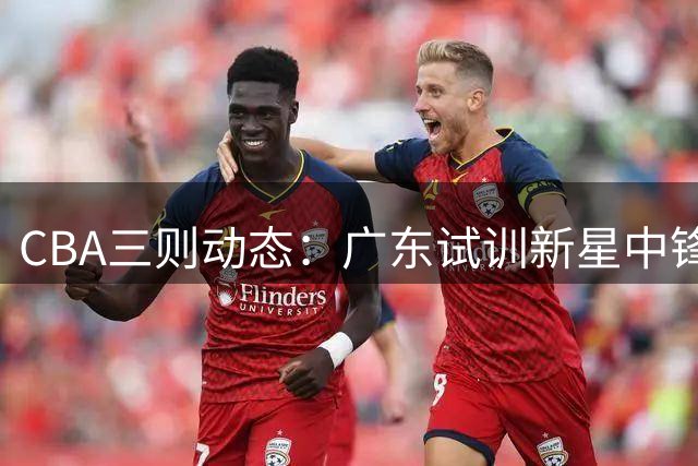 CBA三则动态：广东试训新星中锋 张镇麟签约新代言 两俱乐部股权遭冻结